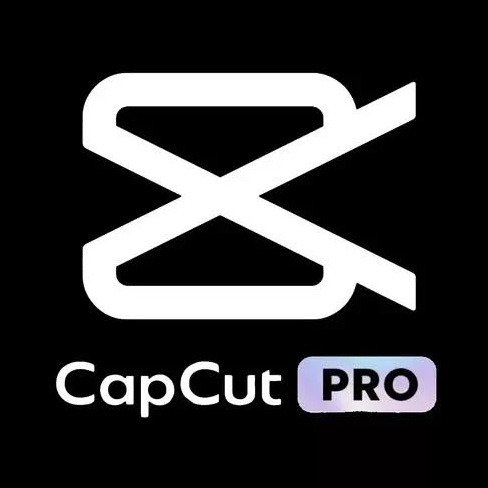 CapCut Pro for PC 1 year Subscription